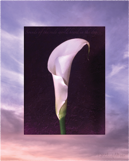 Digital composite painting featuring a calla lily bud on a sunset background in cloudy sky blue to golden hues with "Sounds of the rude world heard in the day;" lyrics.