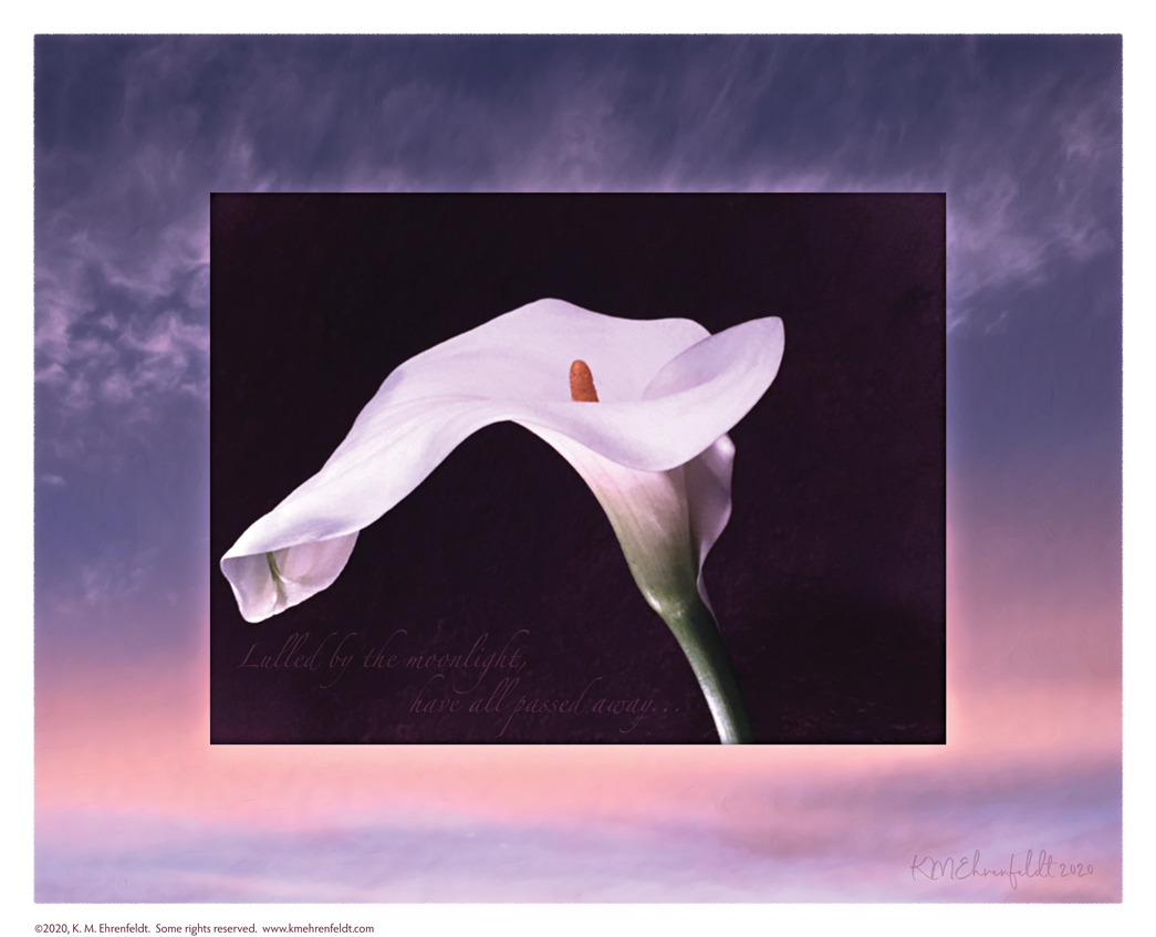 Digital composite painting featuring an open calla lily on a sunset background of a deep blue clouded sky with a band of golden peach hues near the base, with "Lull’d by the moonlight have all passed away!" lyrics.