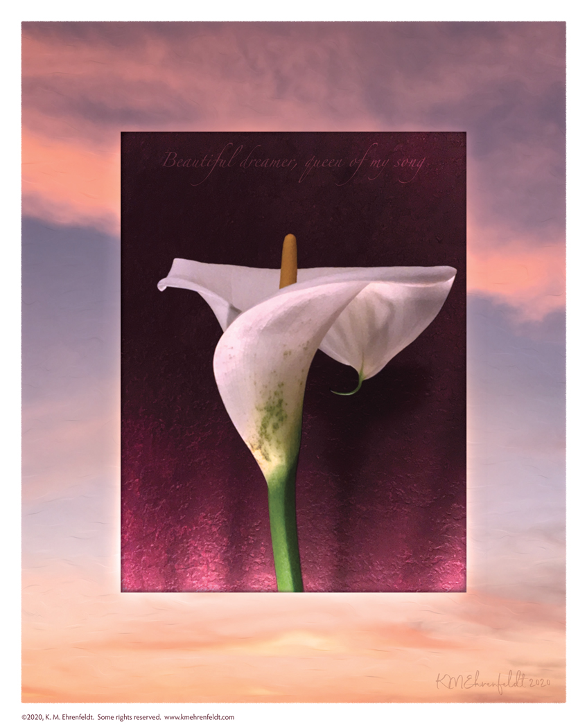 Digital composite painting featuring an upright opened calla lily with green speckles on a sunset background of pale blue and coral hued clouds, with "Beautiful dreamer, queen of my song" lyrics.