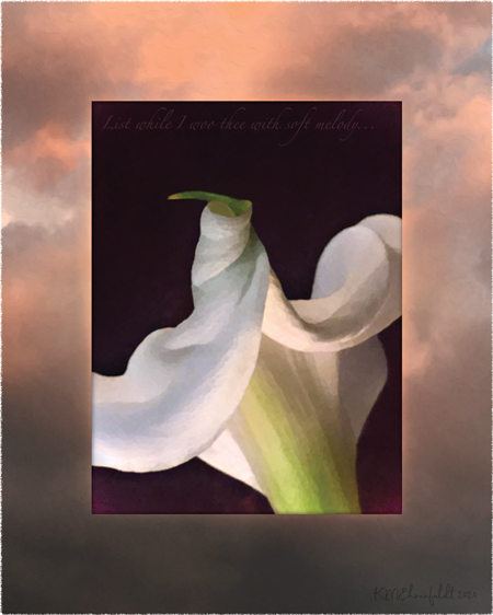 Digital composite painting viewing the winding shaped calla lily petal opening up from the back, on a sunset background of deep orange to sky above to deep gray hued clouds at the horizon, with "List while I woo thee with soft melody;" lyrics.