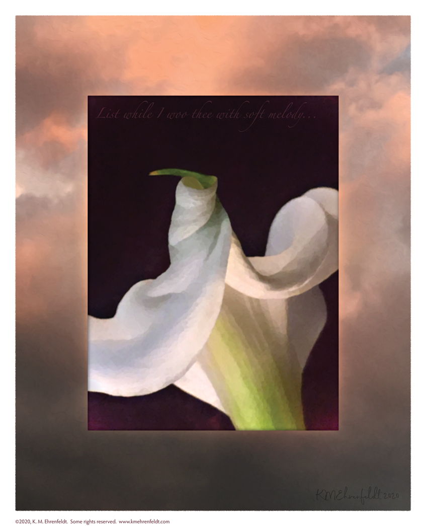 Digital composite painting viewing the winding shaped calla lily petal opening up from the back, on a sunset background of deep orange to sky above to deep gray hued clouds at the horizon, with "List while I woo thee with soft melody;" lyrics.