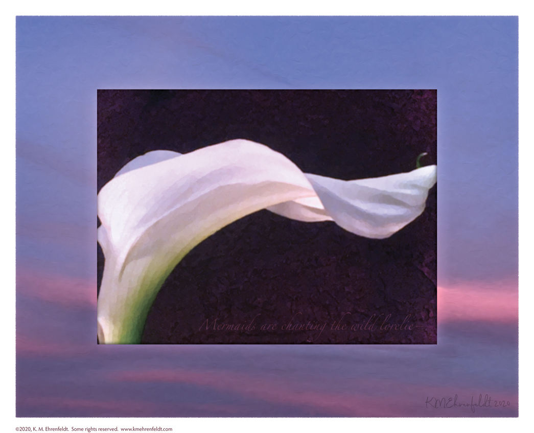 Digital composite painting featuring the ridged petals of an calla lily in a horizontal wave, on a sunset background of sky blue with pink banded clouds, with "Mermaids are chanting the wild lorelie;" lyrics.
