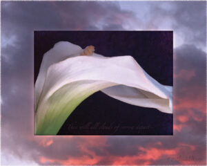 Digital composite painting features the wavering papery form of a calla lily unfurling, on a gray clouded sunset background with vibrant rosy coral highlights in the clouds; with "Then will all clouds of sorrow depart" lyrics.