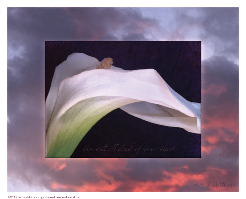 Digital composite painting features the wavering papery form of a calla lily unfurling, on a gray clouded sunset background with vibrant rosy coral highlights in the clouds; with "Then will all clouds of sorrow depart" lyrics.