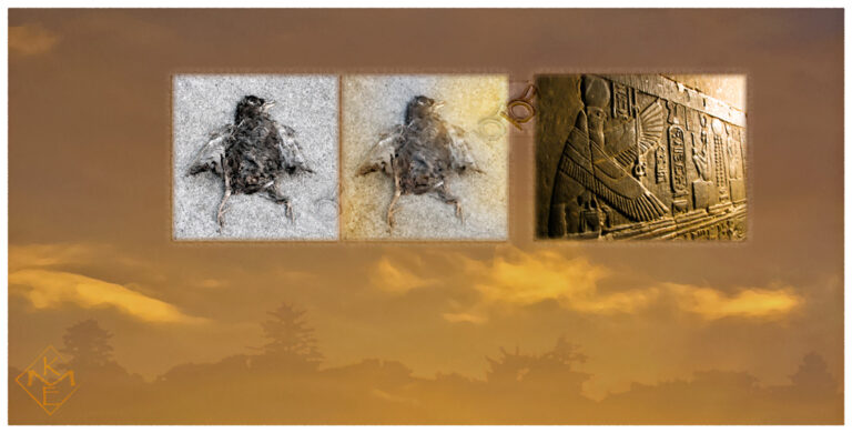 The wide rectangle composite image has a golden background with a horizon of trees in silhouette and wispy clouds above. In the upper central area are three images connected by small shen symbols of eternity. The same fallen fledgling, laying as if in a stance of strength, are featured in the two images on the left. Each of the bird images is treated differently, the left in a harsh monochrome light, the center in a softer texture and a golden overlay of light. To the right in a deep umber to golden hue across, is a bas relief of Horus in bird form with wings spread to the right, where the source of light arises.