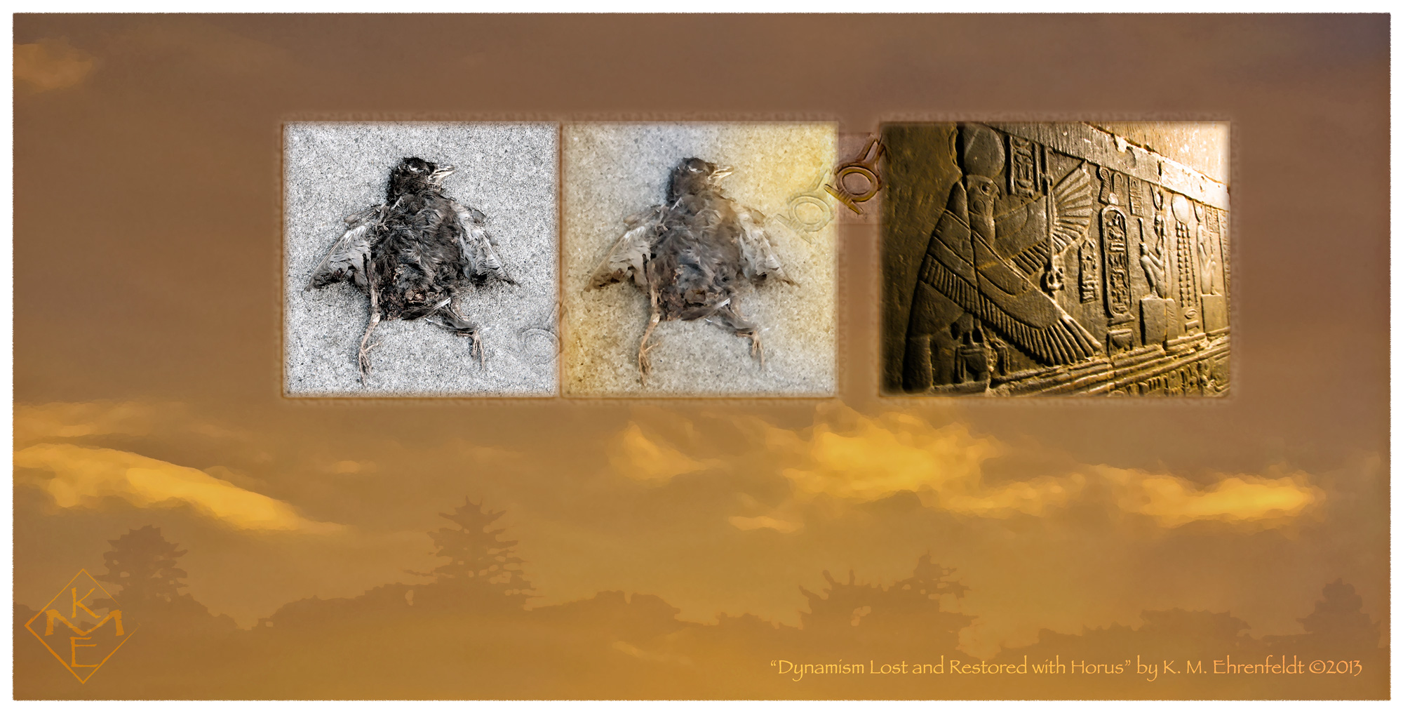 The wide rectangle composite image has a golden background with a horizon of trees in silhouette and wispy clouds above. In the upper central area are three images connected by small shen symbols of eternity. The same fallen fledgling, laying as if in a stance of strength, are featured in the two images on the left. Each of the bird images is treated differently, the left in a harsh monochrome light, the center in a softer texture and a golden overlay of light. To the right in a deep umber to golden hue across, is a bas relief of Horus in bird form with wings spread to the right, where the source of light arises.