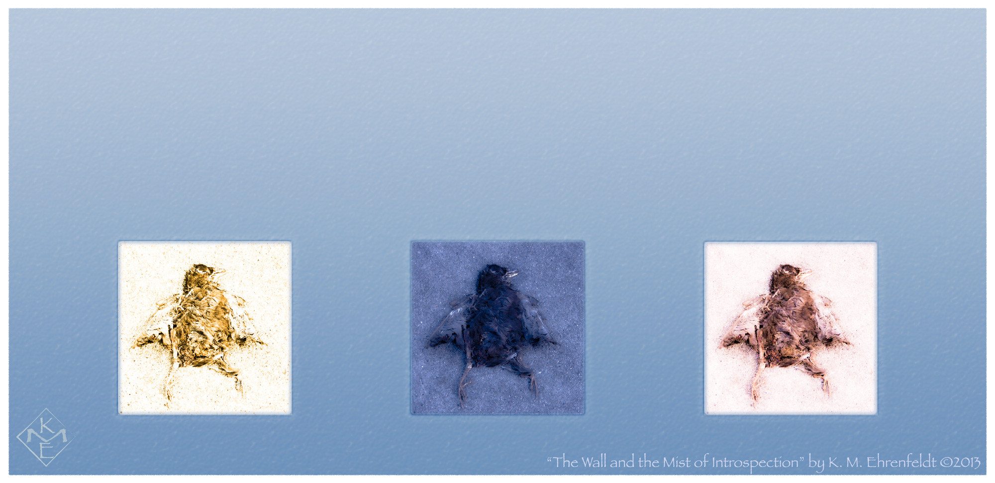 Three images of the same fallen fledgling, laying as if in a stance of strength, are positioned equidistant apart on a background of sky blue that transitions gradually to a light blue-gray at the top. Each of the bird images is treated differently, the left in a harsh sepia light, the center in a soft deeper blue effect, the right in a soft sienna brown effect. Illustrating the different view of the same subject one obtains during introspection.