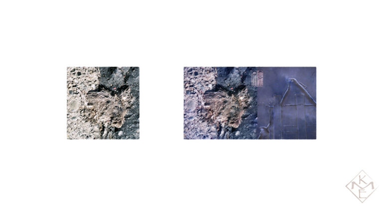 Two photographs appear centered on a white background, level horizontally, with white space between them. The left depicts a fallen flattened nestling that lay on an asphalt background that is half gray and half charcoal. The right image pairs a softer violet hued version of the same image on the left side with a violet-hued bas relief of the bird-headed Sokar on the right side. Symbols of renewal and transformation overlap the seam of the two images.