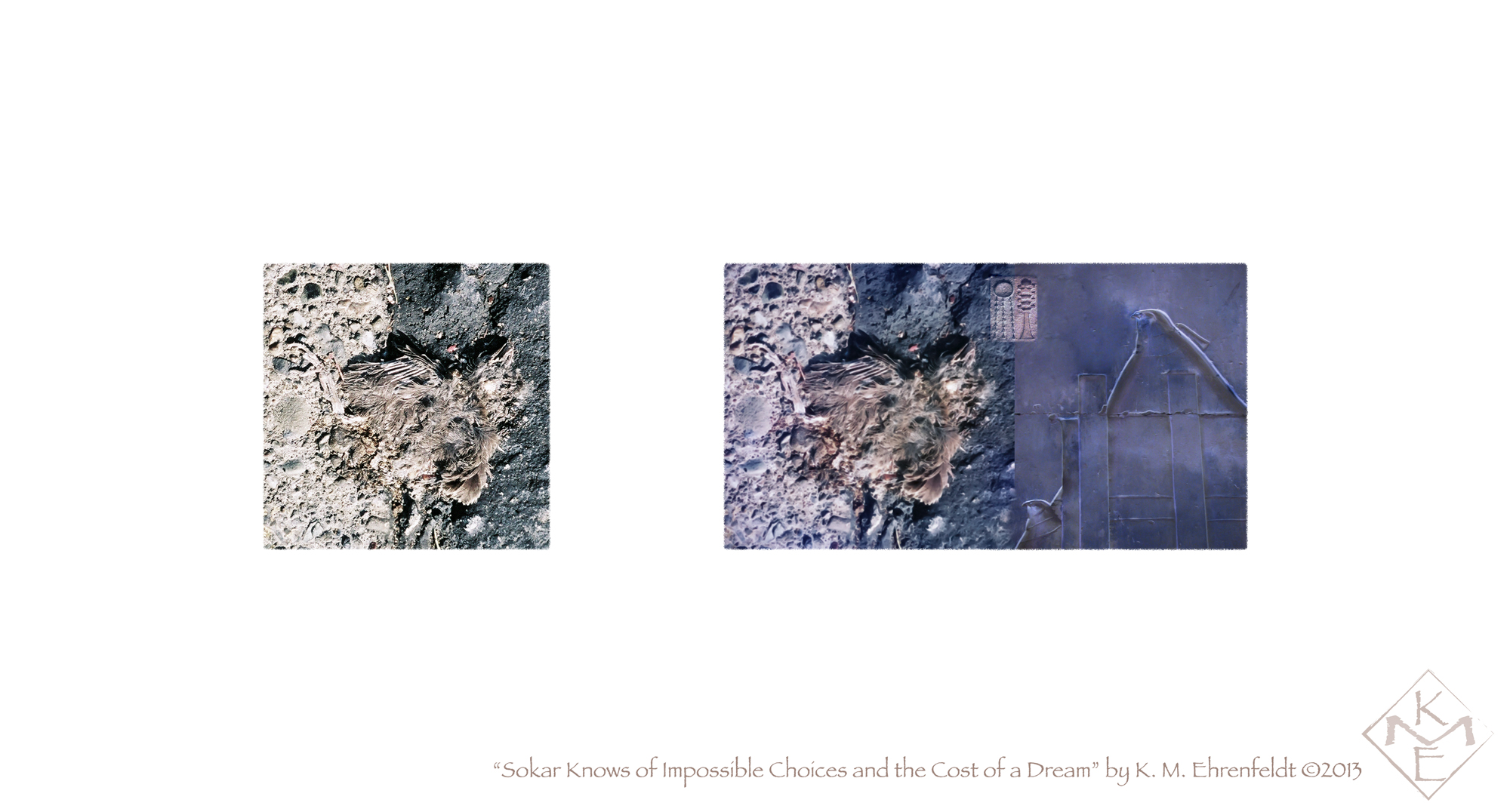 Two photographs appear centered on a white background, level horizontally, with white space between them. The left depicts a fallen flattened nestling that lay on an asphalt background that is half gray and half charcoal. The right image pairs a softer violet hued version of the same image on the left side with a violet-hued bas relief of the bird-headed Sokar on the right side. Symbols of renewal and transformation overlap the seam of the two images.