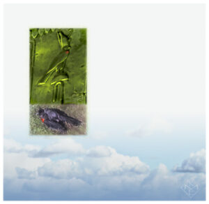 Composite painting presents a hawk form of Horus bas relief, in lime-green hues, in the upper left quadrant of the cloudy blue and white sky background. The Horus image rests at the upper edge of an image of a redwing blackbird laying on a lawn. The meeting edge is a soft transition with overlaying symbols of transformation and renewal overlapping both images.
