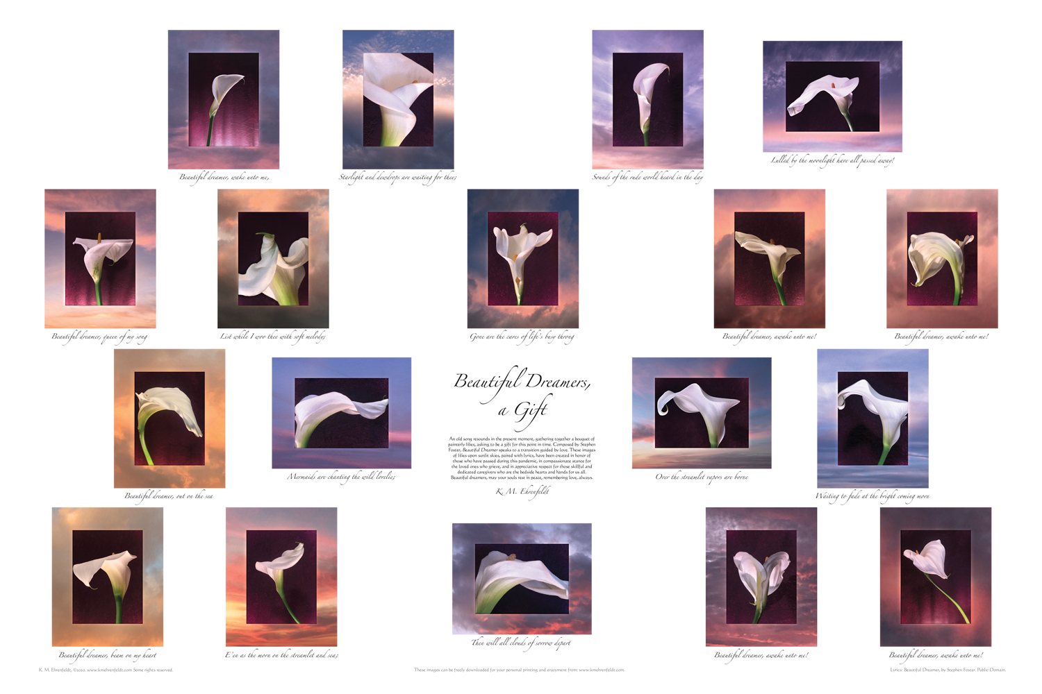 "Beautiful Dreamers" Poster incorporates the lyrics of the song as well as the calla lily image for each line.